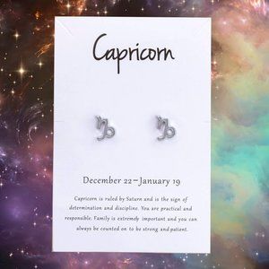 CAPRICORN Zodiac Silvertone Stud Earrings  on Card NEW! 1122x2